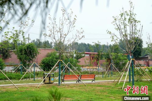 北京花園鄉(xiāng)村建設結(jié)碩果 兩鎮(zhèn)四村生態(tài)改造初步完成