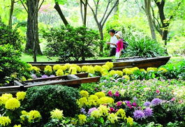 北京園林綠化局精準部署第九屆園博會花卉布置，打造生態(tài)園林新標桿