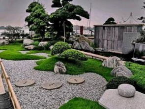 屋頂上的都市綠洲 上海花園設計中的鮮花綠植與園林藝術(shù)