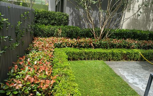 春暖花開，園藏萬象——融創(chuàng)時(shí)代奧城園林綠化景觀深度解讀