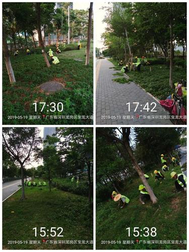 宏浩園林公司綠化養護工作情況